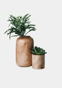 Modern Plant Pot